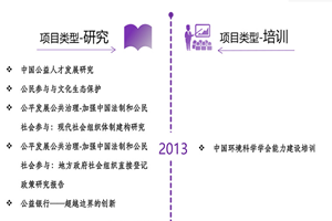 在线操骚屄非评估类项目发展历程